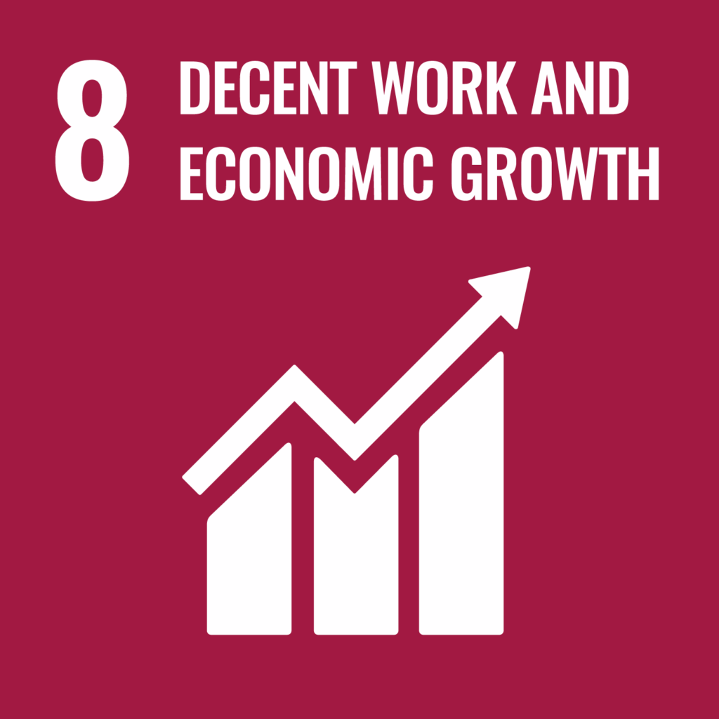 Goal 8 – Decent Work and Economic Growth