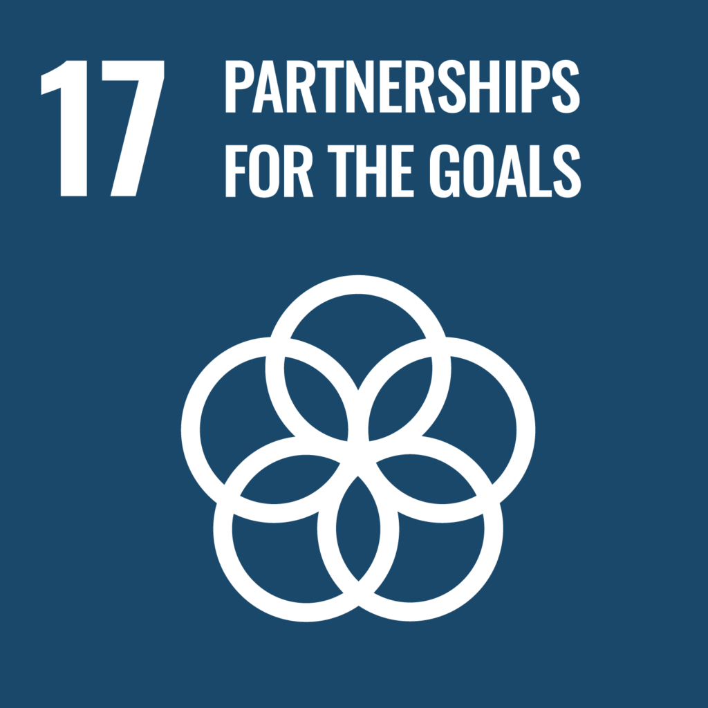 Goal 17 – Partnerships for the Goals